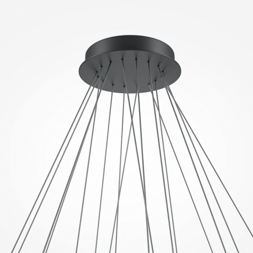 Подвесная люстра Maytoni Line MOD016PL-L96BK фото 4