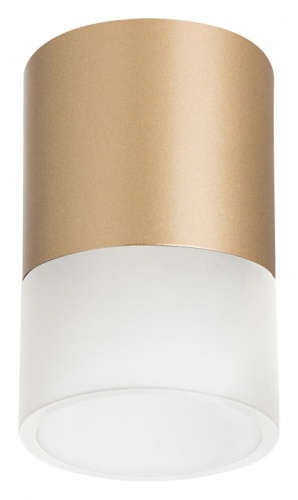 Накладной светильник Lightstar Rullo R349081 Накладной светильник Lightstar Rullo R349081