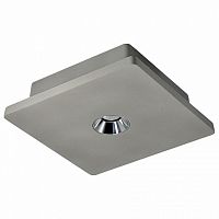 Накладной светильник Loft it Architect OL1072-GH/1