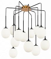 Потолочная люстра Maytoni Branch MOD176PL-12G