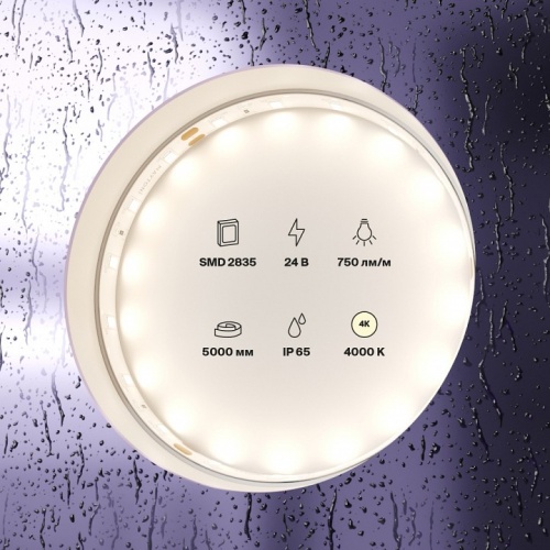 Лента светодиодная Maytoni Led strip 20017 фото 4