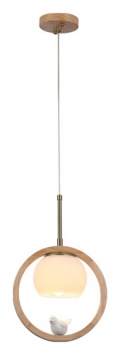 Подвесной светильник Arte lamp CAPRICE A4182SP-1BR фото 2
