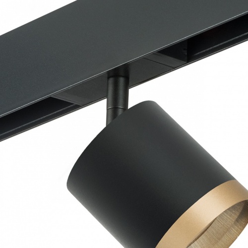 Светильник на штанге Lightstar Rullo PRO348790 фото 3