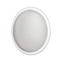 SONEX 7774/ELN PALE SN 110 Светильник пластик/белый "зв. небо" LED 76Вт 3000/4000/6000К D500 IP43 CCT JOLLY