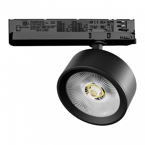 Светильник на штанге Lightstar Alta Pro A5647TRIAC фото 2