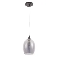 Подвесной светильник Arte Lamp PROPUS A4344SP-1BK