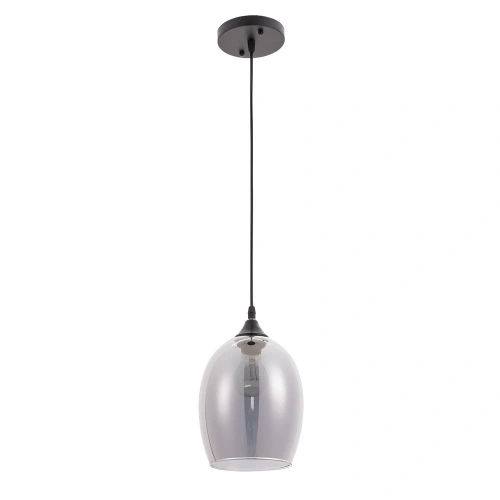 Подвесной светильник Arte Lamp PROPUS A4344SP-1BK Подвесной светильник Arte Lamp PROPUS A4344SP-1BK