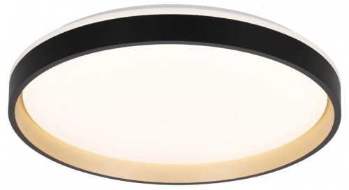 Накладной светильник Citilux ENZO CL753511G Накладной светильник Citilux ENZO CL753511G
