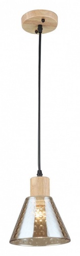 Подвесной светильник Arte Lamp LANCASTER A5891SP-1BK фото 2