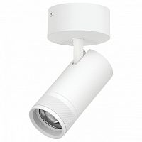 Спот Lightstar Canno Pro C4306SO