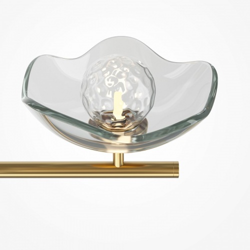 Люстра на штанге Maytoni Miracle MOD207PL-05BS фото 4