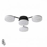 LUMION 8236/4CL LEDIO LN25 000 черный, металл/акрил Люстра потолочная с ПДУ LED 55W 3000-6000К 220V DIDANA
