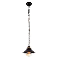 Подвесной светильник Arte Lamp GRAZIOSO A4577SP-1CK