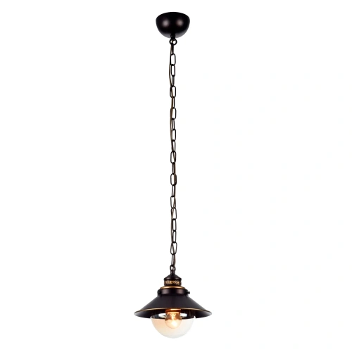 Подвесной светильник Arte Lamp GRAZIOSO A4577SP-1CK Подвесной светильник Arte Lamp GRAZIOSO A4577SP-1CK