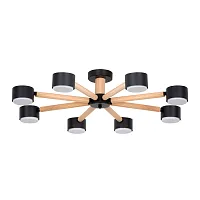 Потолочная люстра Arte Lamp TENDA A1624PL-8BK