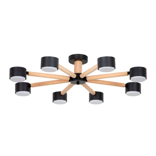 Потолочная люстра Arte Lamp TENDA A1624PL-8BK