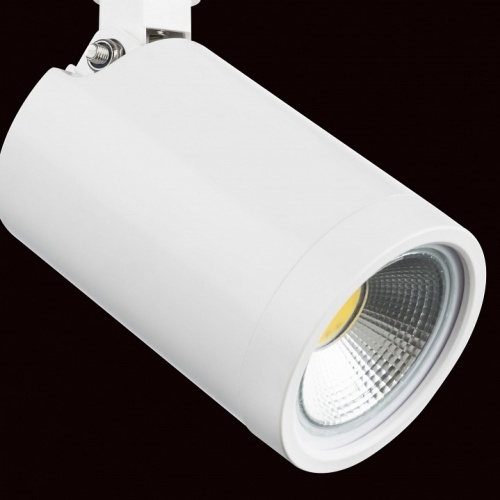 Светильник на штанге Lightstar Rullo 212936 фото 4