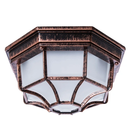 Уличный потолочный светильник Arte Lamp PEGASUS A3100PL-1AC Уличный потолочный светильник Arte Lamp PEGASUS A3100PL-1AC