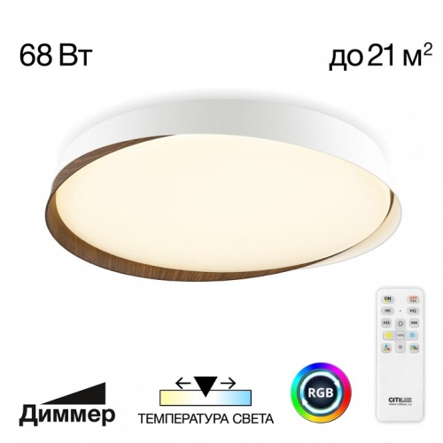 Накладной светильник Citilux BONNY CL754450G фото 2