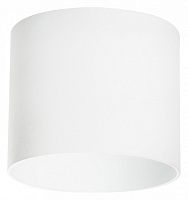 Накладной светильник Lightstar Rullo 213486