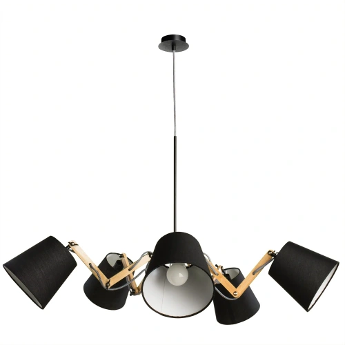 Подвесная люстра Arte Lamp PINOCCHIO A5700LM-5BK Подвесная люстра Arte Lamp PINOCCHIO A5700LM-5BK