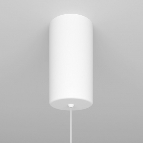 Подвесной светильник Maytoni Technical Ray P022PL-L10W фото 6