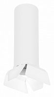 Накладной светильник Lightstar Rullo R6496486