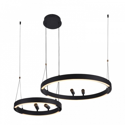Подвесной светильник F-promo Slinga 4474-2P фото 4