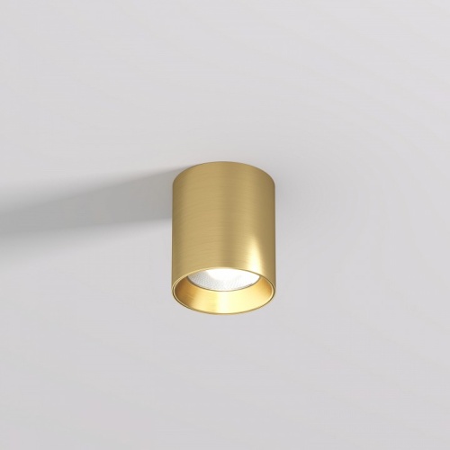 Накладной светильник Denkirs SHINE TUBE DK2610-SB фото 2 Накладной светильник Denkirs SHINE TUBE DK2610-SB фото 2