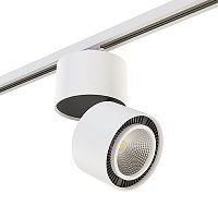 Накладной светильник Lightstar Forte Muro A1T214830