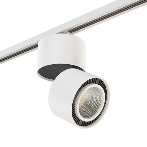 Накладной светильник Lightstar Forte Muro A1T214830