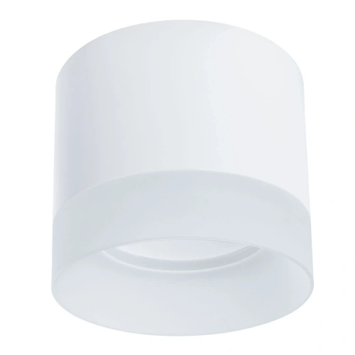 Точечный накладной светильник Arte Lamp CASTOR A5554PL-1WH Точечный накладной светильник Arte Lamp CASTOR A5554PL-1WH