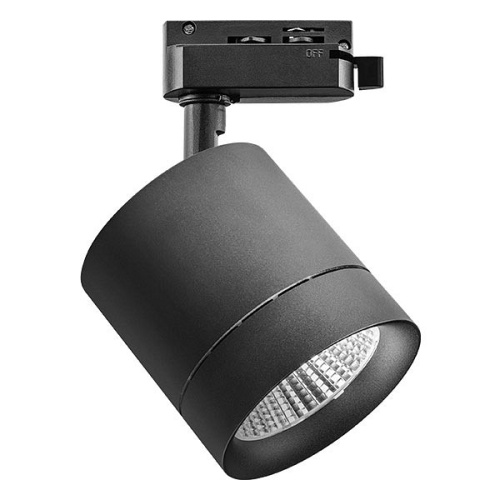 Светильник на штанге Lightstar Canno 301274 Светильник на штанге Lightstar Canno 301274