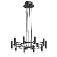Подвесная люстра Arte lamp EMPIRE A2482SP-20BK