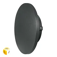 Фасадный светильник Arte Lamp NIMBO A1510AL-1BK