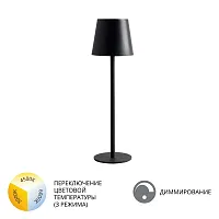 Уличный настольный светильник Arte Lamp FUYUE A1614LT-1BK