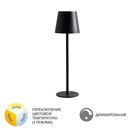 Уличный настольный светильник Arte Lamp FUYUE A1614LT-1BK Уличный настольный светильник Arte Lamp FUYUE A1614LT-1BK
