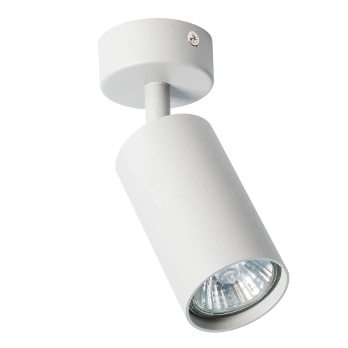Спот Arte Lamp AQUARIUS A3216PL-1GY Спот Arte Lamp AQUARIUS A3216PL-1GY