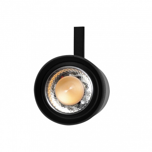 Светильник на штанге Lightstar Canno Pro 304207 фото 2