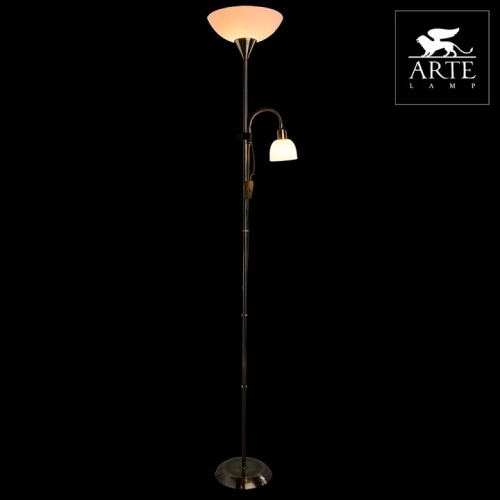 Торшер Arte Lamp DUETTO A9569PN-2AB фото 3 Торшер Arte Lamp DUETTO A9569PN-2AB фото 3