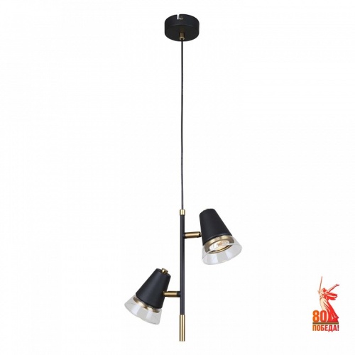 Подвесной светильник F-promo Trandy 4618-2P