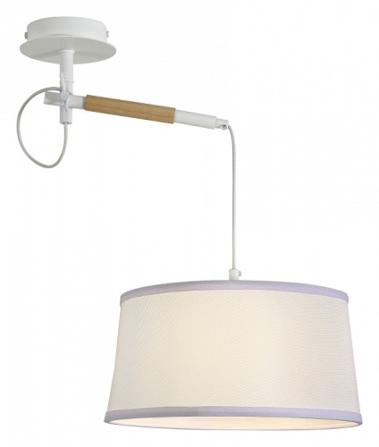 Светильник на штанге F-promo Eureka 3005-1P фото 4 Светильник на штанге F-promo Eureka 3005-1P фото 4