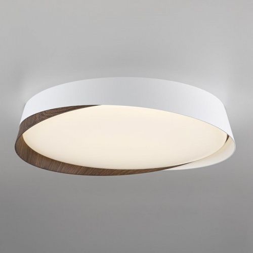Накладной светильник Citilux BONNY CL754350G фото 6