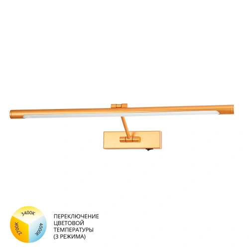 Подсветка для картин Arte Lamp HARRISON A1711AP-1GO Подсветка для картин Arte Lamp HARRISON A1711AP-1GO