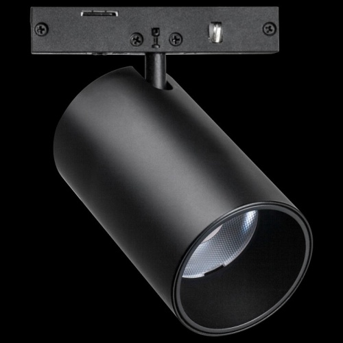Светильник на штанге Lightstar Linea 206247 фото 2