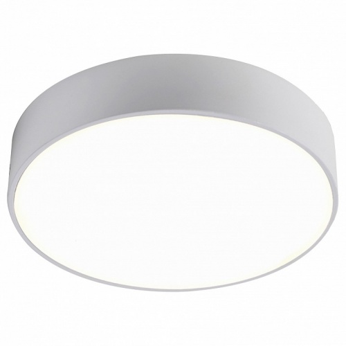 Накладной светильник Favourite Flashled 2065-24C Накладной светильник Favourite Flashled 2065-24C
