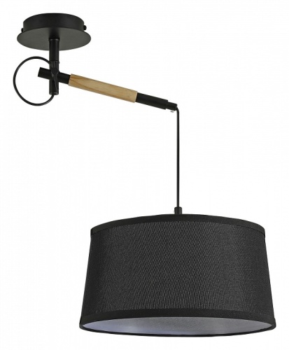 Светильник на штанге F-promo Eureka 3006-1P Светильник на штанге F-promo Eureka 3006-1P