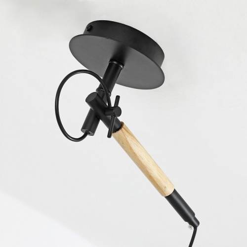 Светильник на штанге F-promo Eureka 3006-1P фото 7 Светильник на штанге F-promo Eureka 3006-1P фото 7