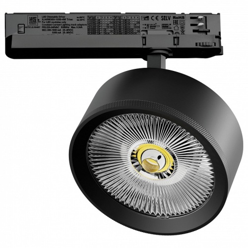 Светильник на штанге Lightstar Alta Pro A5747TRIAC