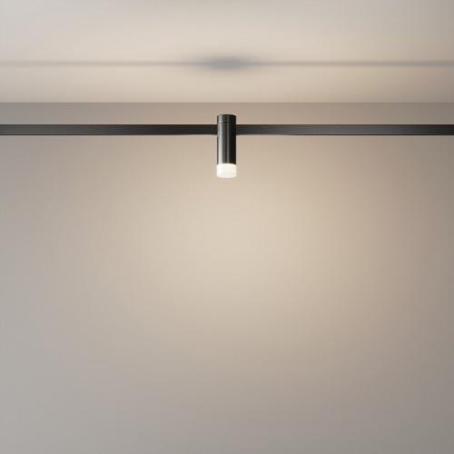 Накладной светильник Maytoni Technical Skim TR145-1-3W3K-W-B фото 2
